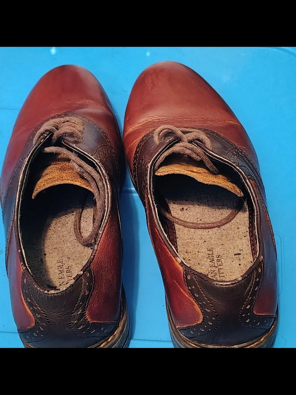 American Eagle Outfitters Two-Tone Brown Leather Oxford Shoes